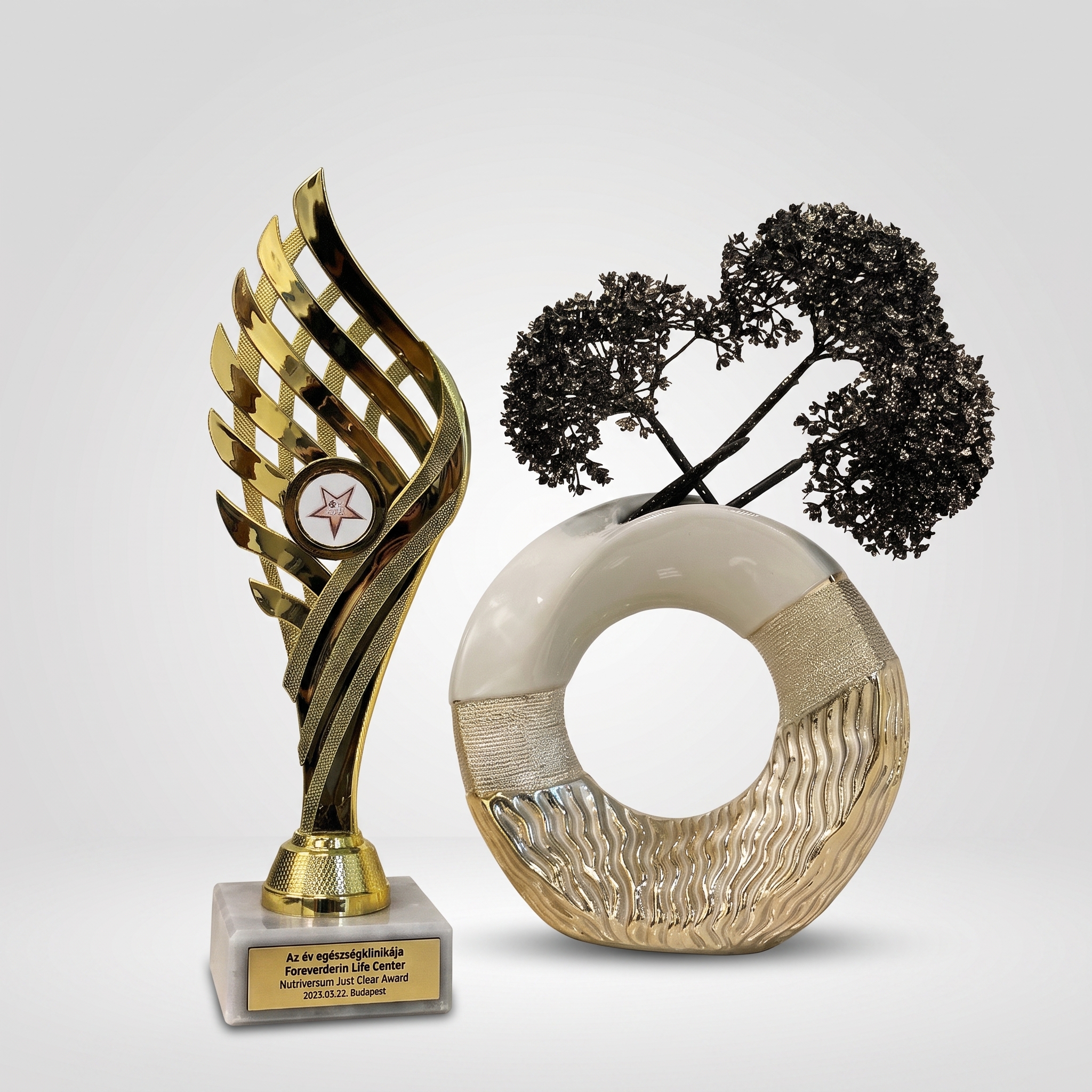 Nutriversum Just Clear Award – Az év egészségklinikája 2026