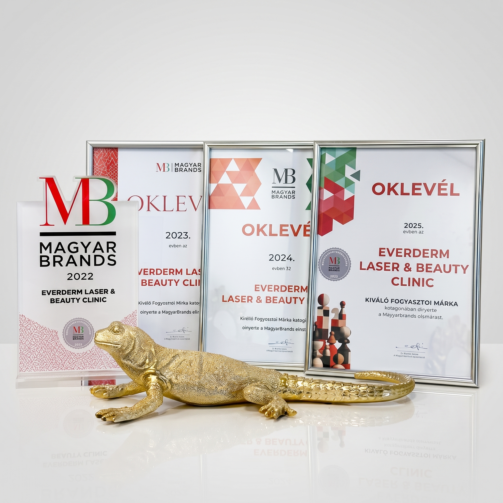 Magyar Brands – Kiváló Fogyasztói Márka kategória elismerések 22′ 23′ 24′ 25′